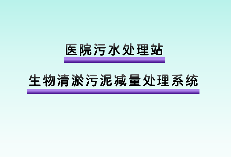 生物清淤污泥减量处理系统